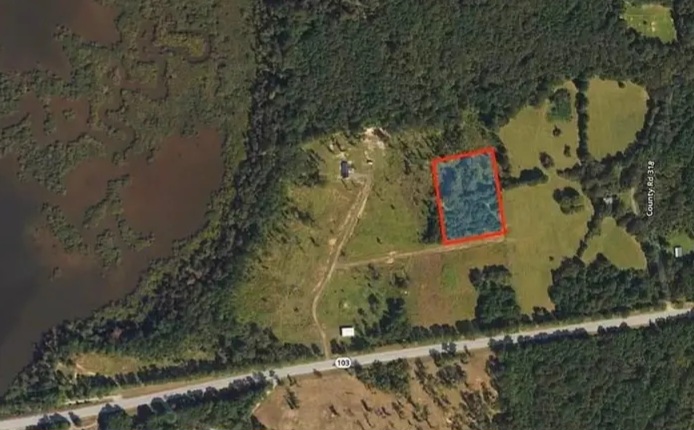 3 acres Land with beautiful trees for sale in San Augustine, TX - Land in San Augustine County - Image 2 of 7