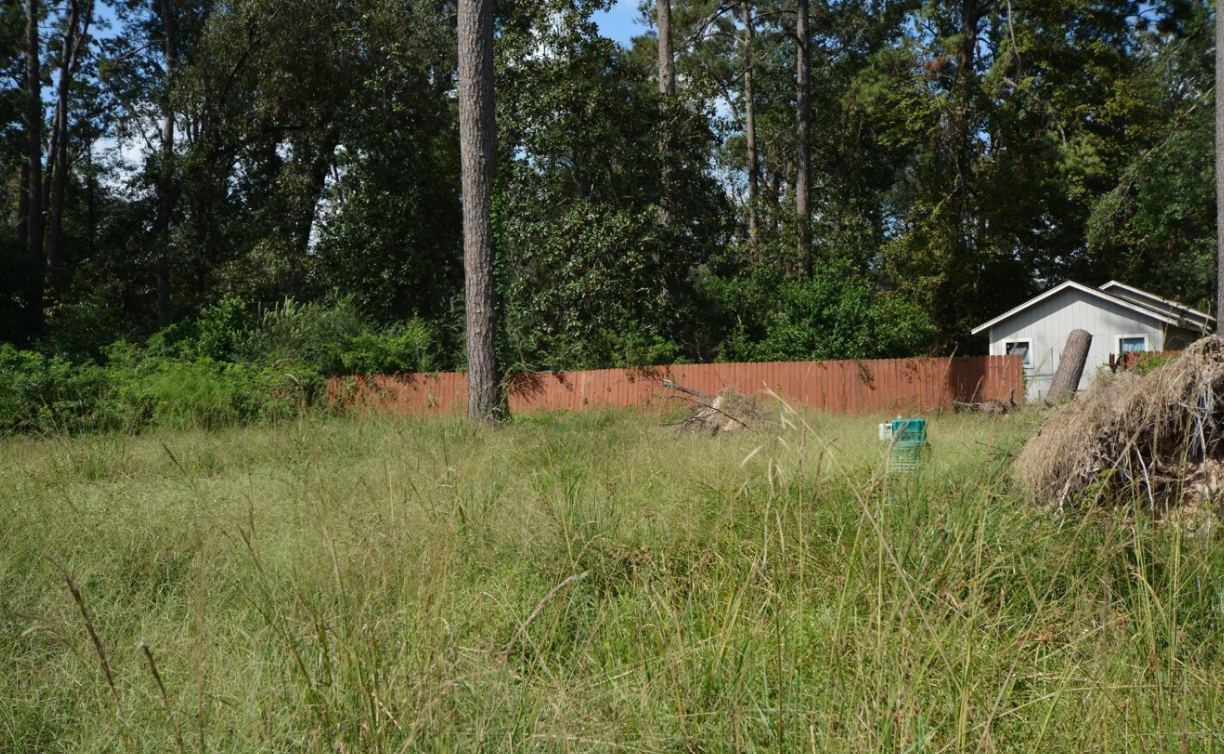 2 SUBDIVIDED LOTS IN MAGNOLIA COUNTY - 80,150 SQFT COMBINED!