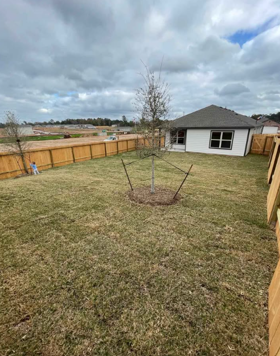 HOUSE FOR RENT IN MONTGOMERY, TX