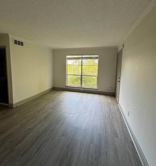 Apartment for rent in the Southside area, Highland Park, and downtown Birmingham